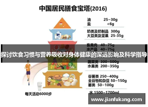 探讨饮食习惯与营养吸收对身体健康的深远影响及科学指导