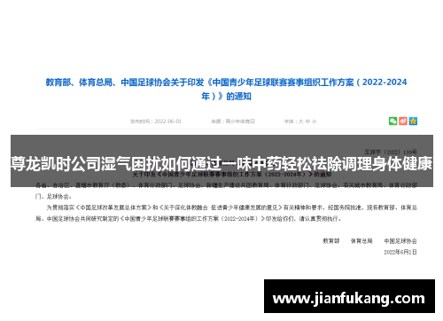 尊龙凯时公司湿气困扰如何通过一味中药轻松祛除调理身体健康